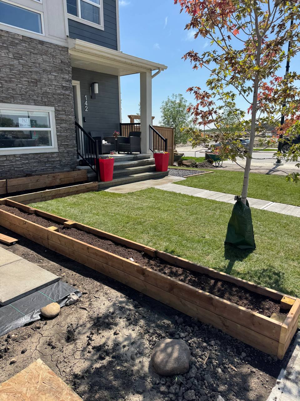 Modern residential front yard with new sod installation, wooden raised beds, and stone retaining wal