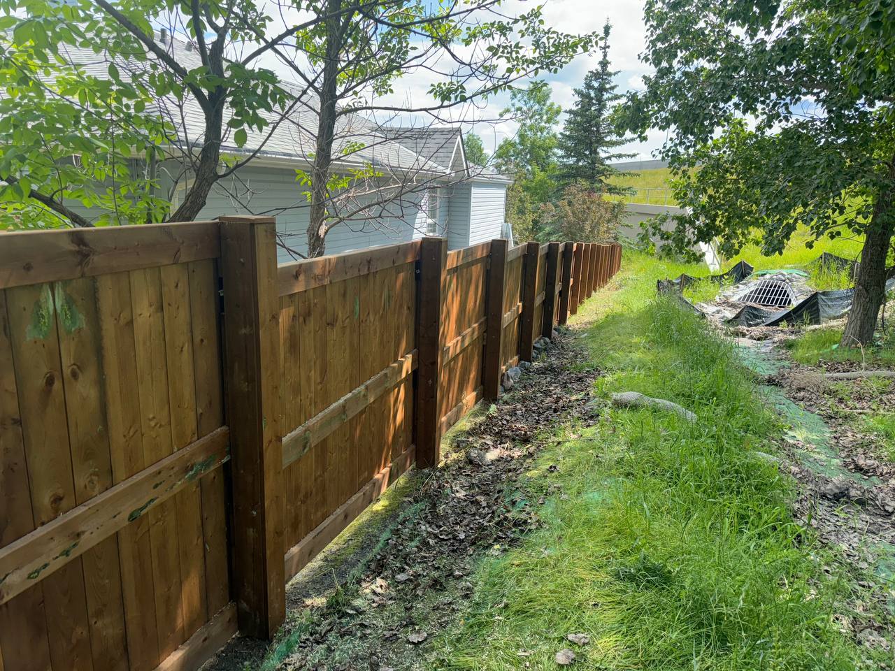 Newly installed wooden privacy fence along residential property with mature trees and sloped terrain
