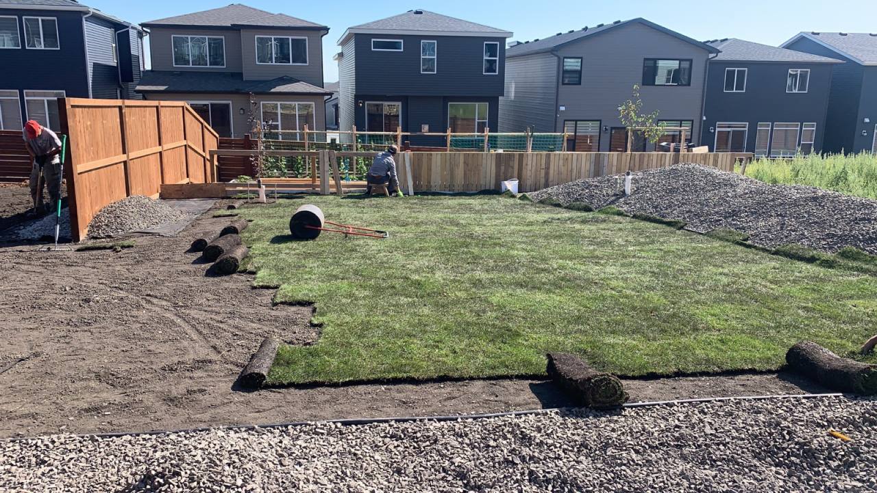 Residential backyard sod installation in progress with fresh turf rolls being laid and gravel landsc
