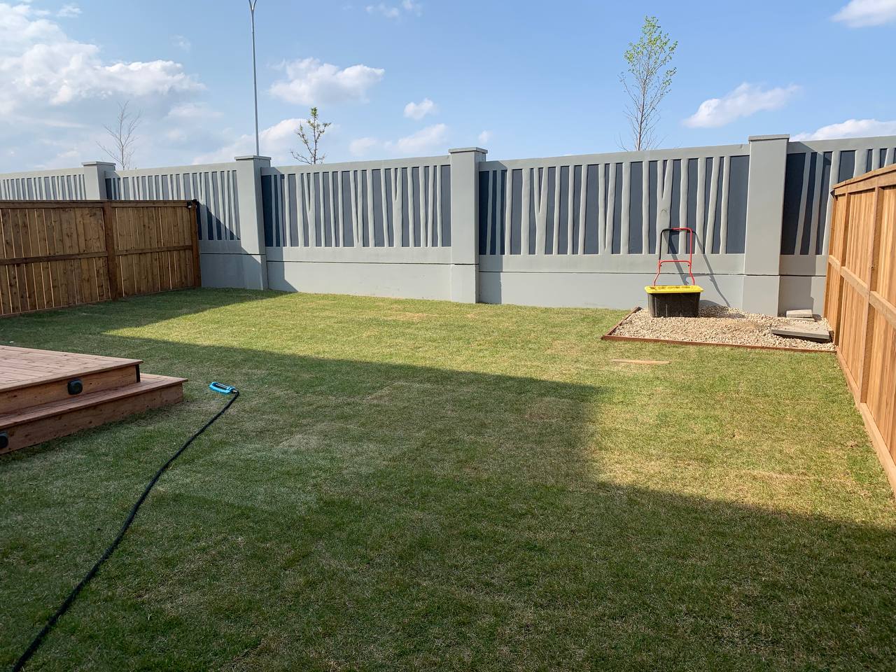 Newly installed sod lawn in fenced residential backyard with mature fence lines and cornhole setup