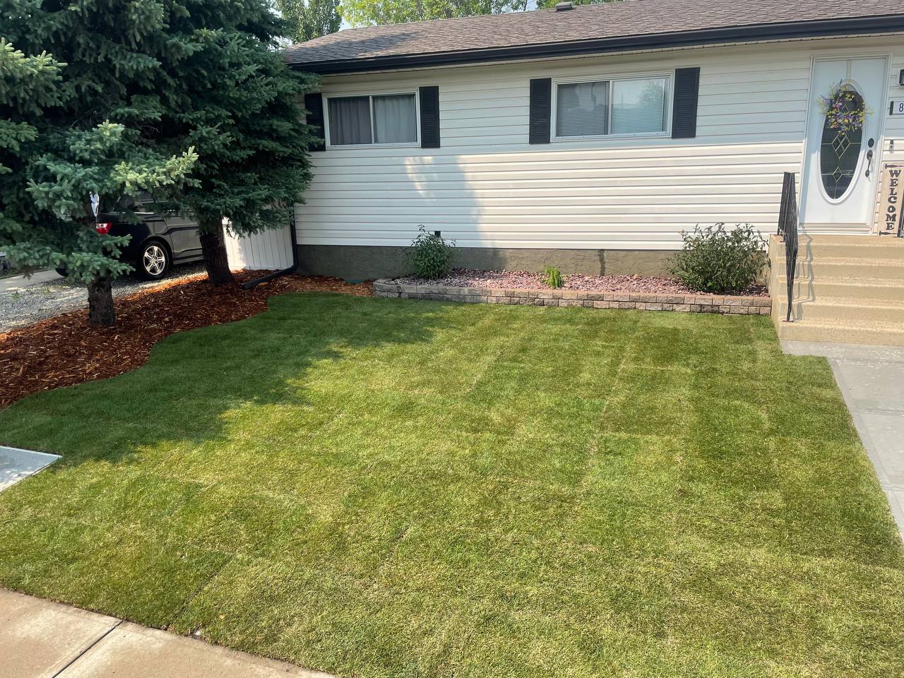 Newly installed sod lawn with defined brick edging and landscaped planting beds